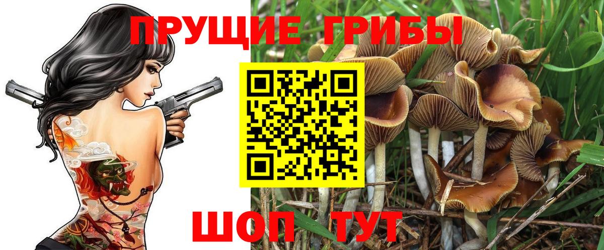 Татарск  Галлюциногенные грибы ЛСД  Вход с VPN 